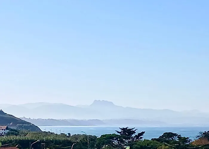 Vue sur mer et plage de Marbella